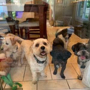 Meet your Posher, Beth